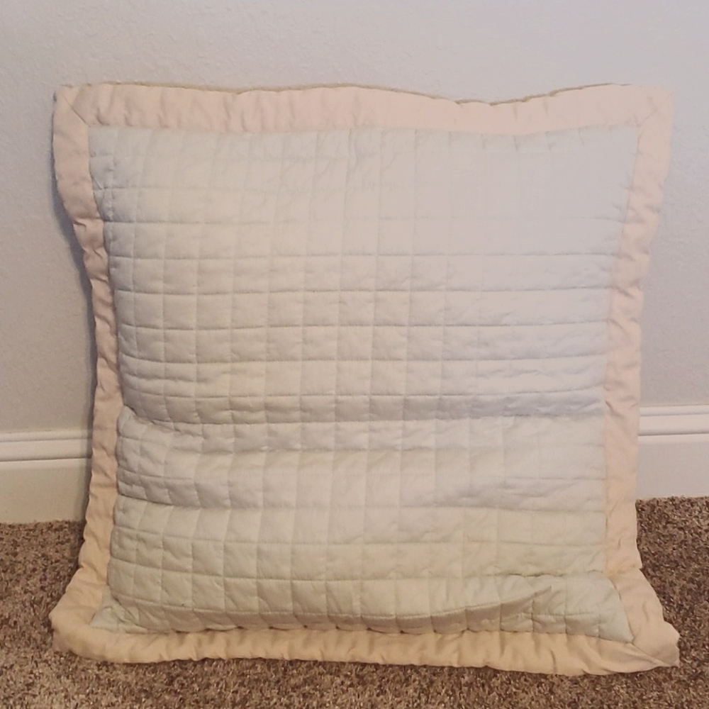 2 Restoration Hardware euro pillow cases